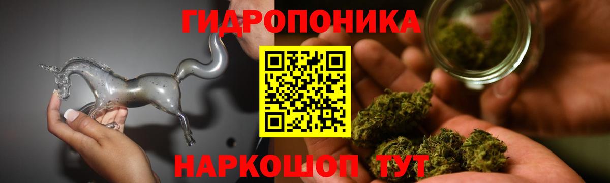 Конопля Bruce Banner Сунжа
